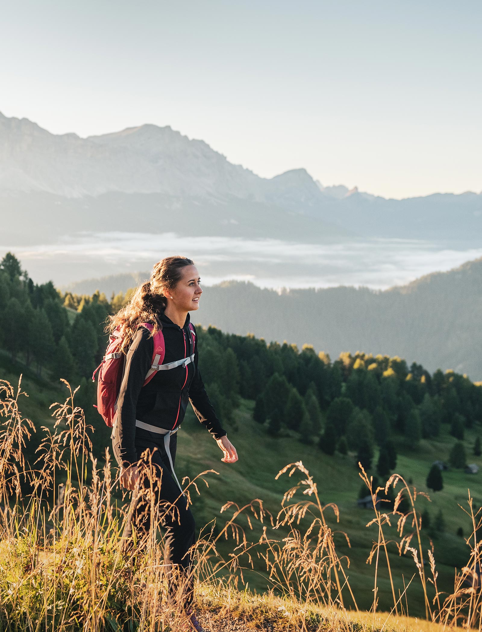 Escursione mattutina nelle Dolomiti